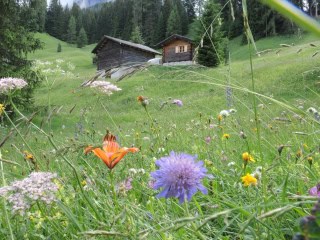 50 Italian Dolomites Day Walks (c) Ann Foulkes, trekMountains