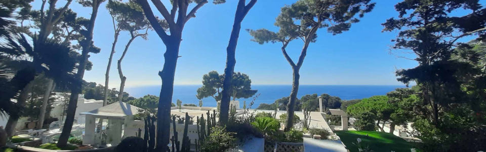 Capri – trekMountais Amalfi Coast walking holidays Italy