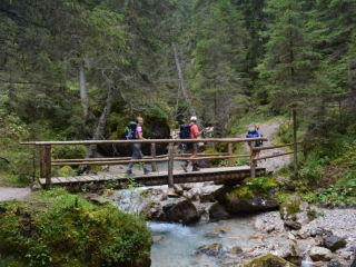 Alta Via 2 Dolomites Italy trekMountains Forest below Marmolada (c) Kurt Lybaert 20