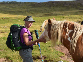 Alta Via 2 Dolomites Italy trekMountains horses (c) Kurt Lybaert 47