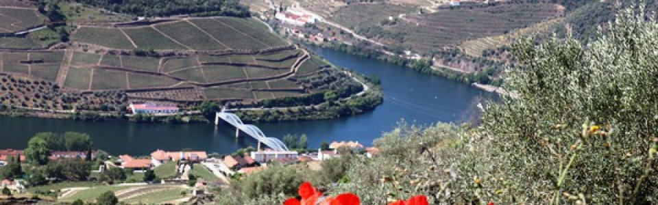 Heart & Soul of Douro