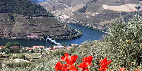 Heart & Soul of Douro
